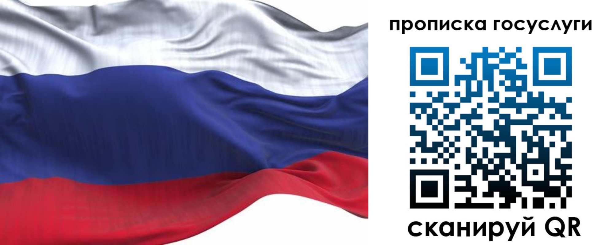 прописка для школы в Юрьев-Польском